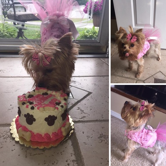 • MEET YOUR POSHER • - Picture 4 of 4