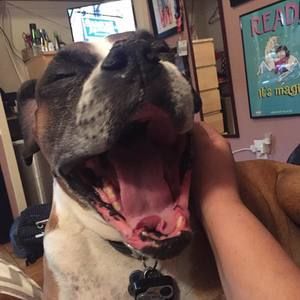 Meet your Posher, Marissa