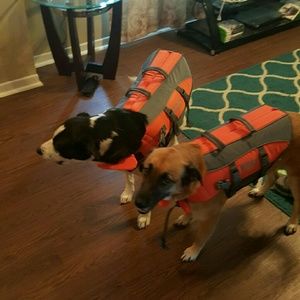 Meet your Posher, Janice