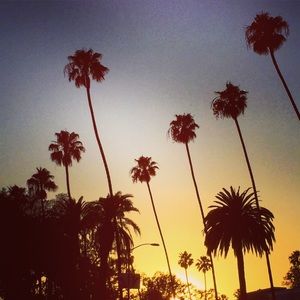 Meet your Posher, Saeed