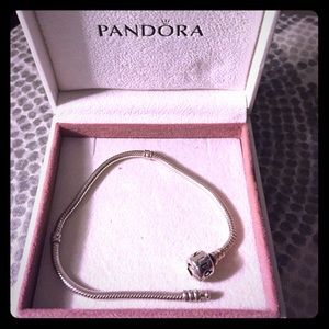 Pandora bracelet
