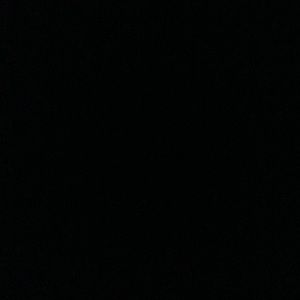 Meet your Posher, Rosa