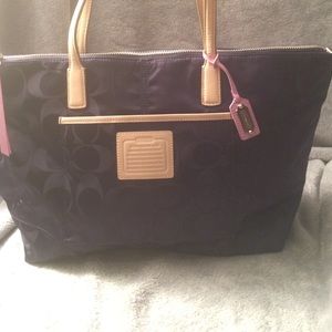 Plum Coach Purse