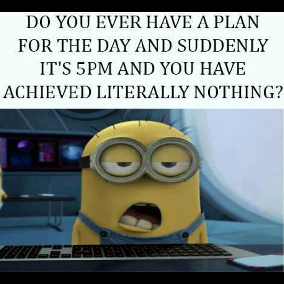 Meet your Posher, Tami - Picture 1 of 1