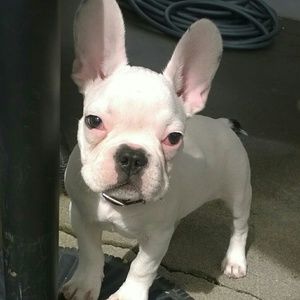 Meet your Posher, Deanna