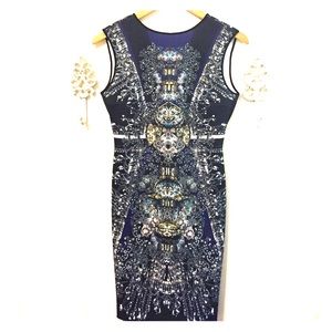 Clover Canyon Dress NWOT