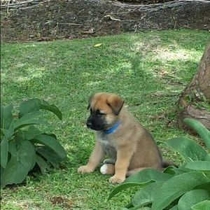 Meet your Posher, Yen