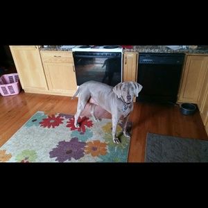 Meet your Posher, Carol