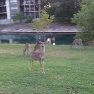 Meet your Posher, Annette