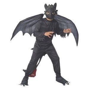 SOLD Toothless the Dragon Costume