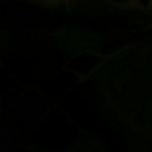 Meet your Posher, Janeal