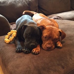 Meet your Posher, Kelsey