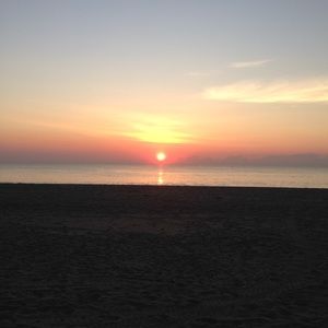 Meet your Posher, Elsa