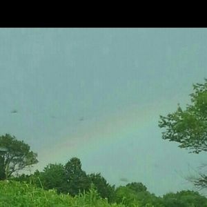 Meet your Posher, Peggy