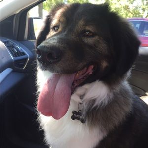 Meet your Posher, Nikki