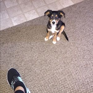 Meet your Posher, Nicole