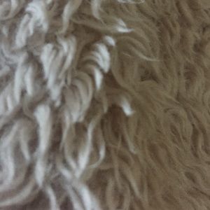 Meet your Posher, Marielle