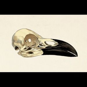 Meet your Posher, Fred