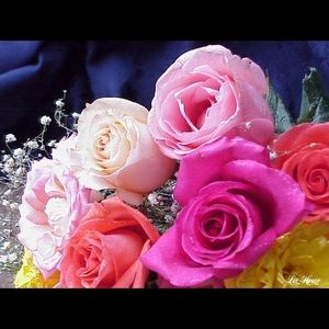 Meet your Posher, Imani