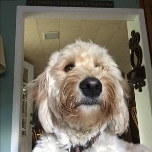 Meet your Posher, Andrea