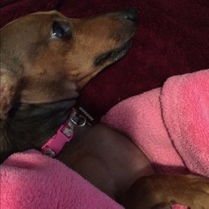 Meet your Posher, Beth