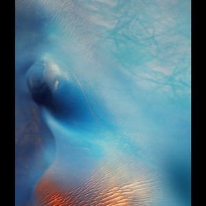 Meet your Posher, Ariel