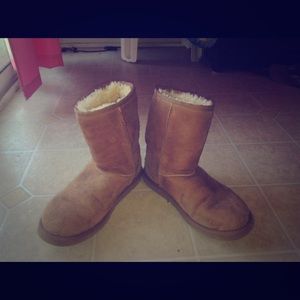 Short chestnut uggs