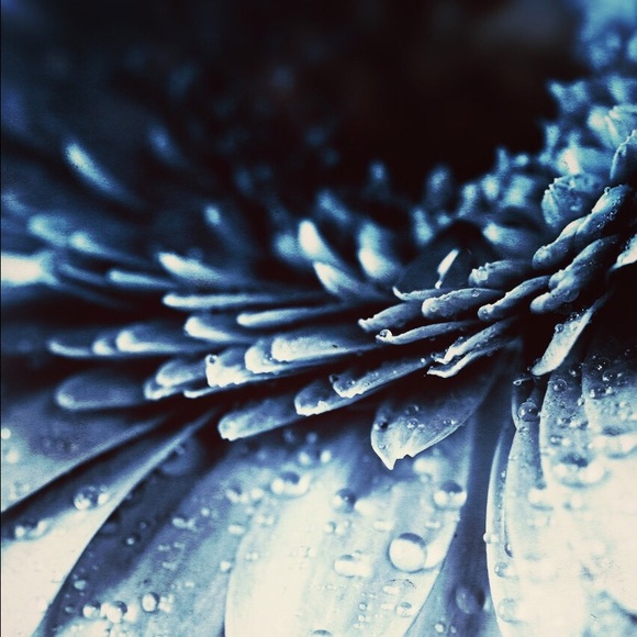 Meet your Posher, Sydney