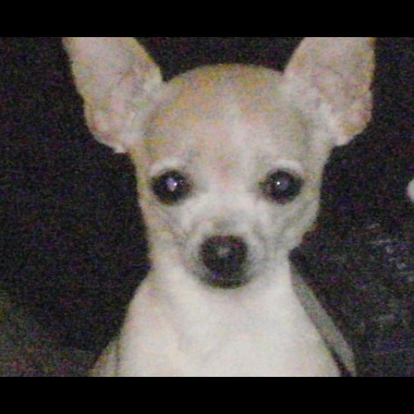 Meet your Posher, J - Picture 1 of 1