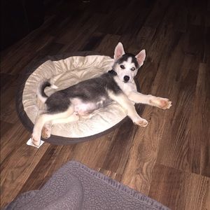 Meet your Posher, Maunee