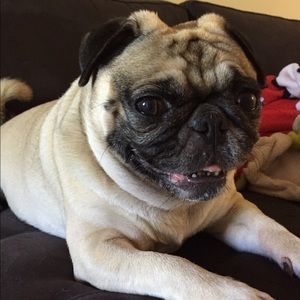 Meet your Posher, Jennie