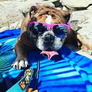 Meet your Posher, Kenia