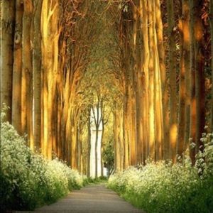 Meet your Posher, World