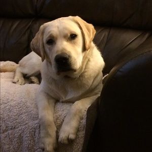 Meet your Posher, April