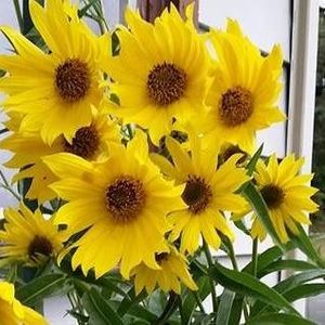 Meet your Posher, Cassie