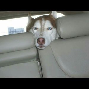 Meet your Posher, Tiffany