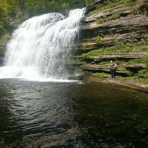 Meet your Posher, Victoria