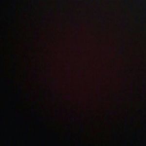 Meet your Posher, Shelly