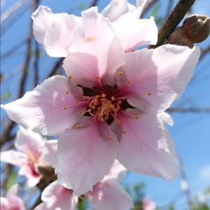 Meet your Posher, Aneli