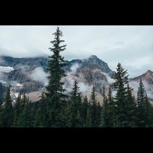 Meet your Posher, India