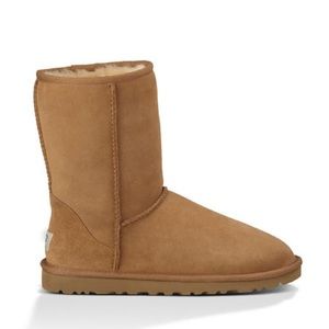 Chestnut Classic Short Uggs