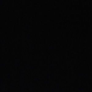 Meet your Posher, Abbey