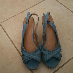 Blue wedges