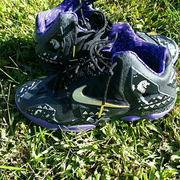 Lebron BHM
