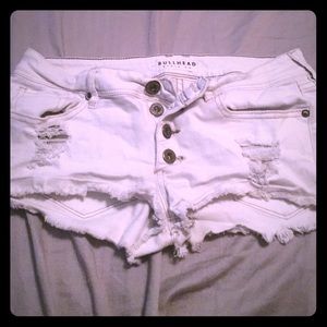 White bullhead shorts
