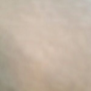 Meet your Posher, Mickie