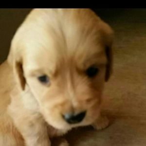 Meet your Posher, Colleen