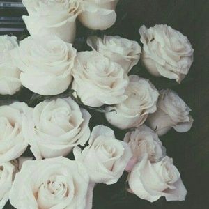 Meet your Posher, Emely