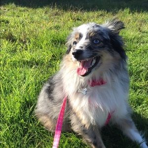 Meet your Posher, Arianna