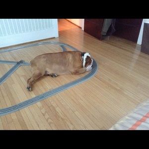 Meet your Posher, Alex